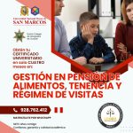 Gestion en Pension de Alimentos, Tenencia y Regimen de Visitas