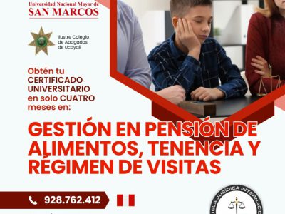 Gestion en Pension de Alimentos, Tenencia y Regimen de Visitas